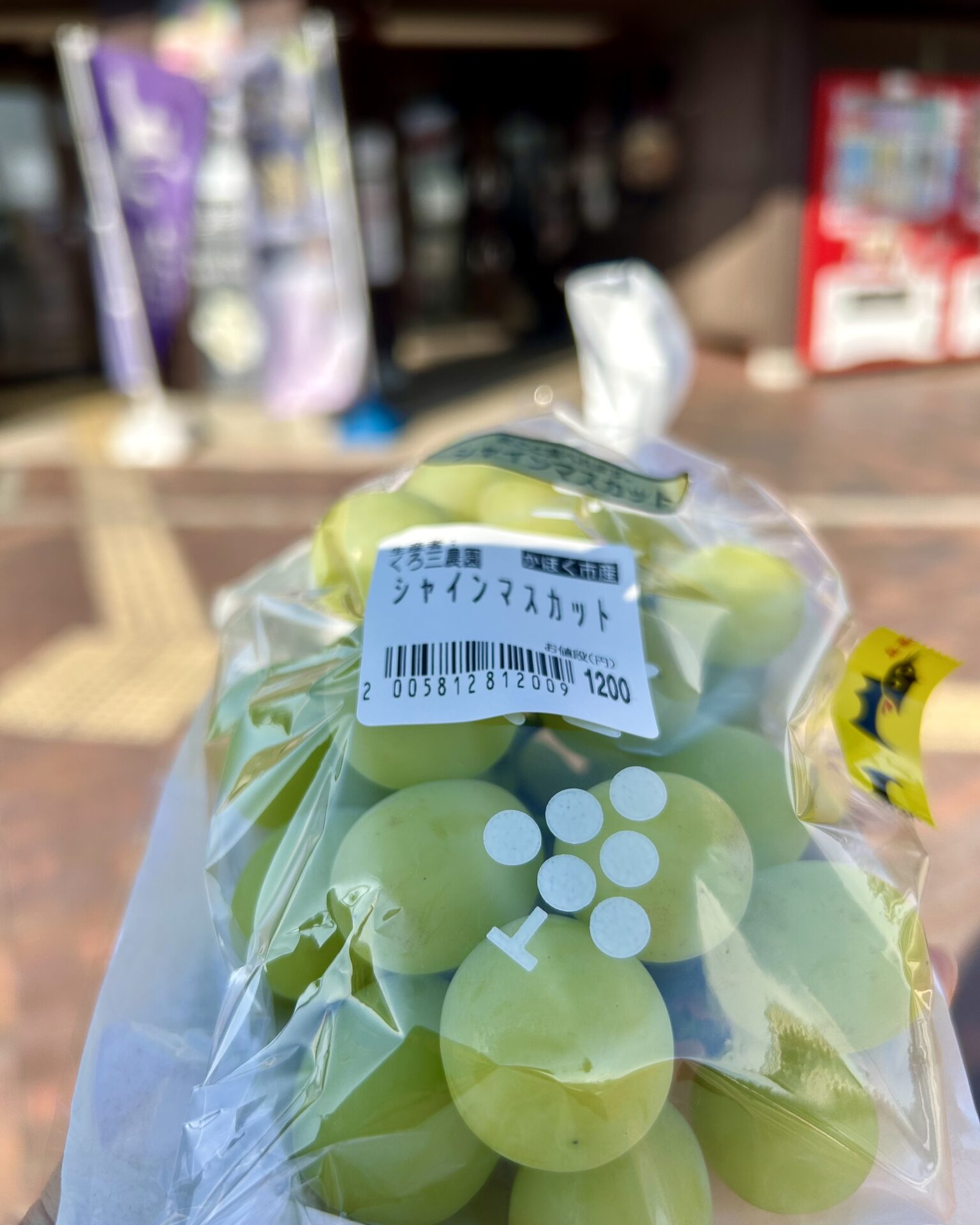 本日のおすすめ【鰯たたき・鰯軍艦】