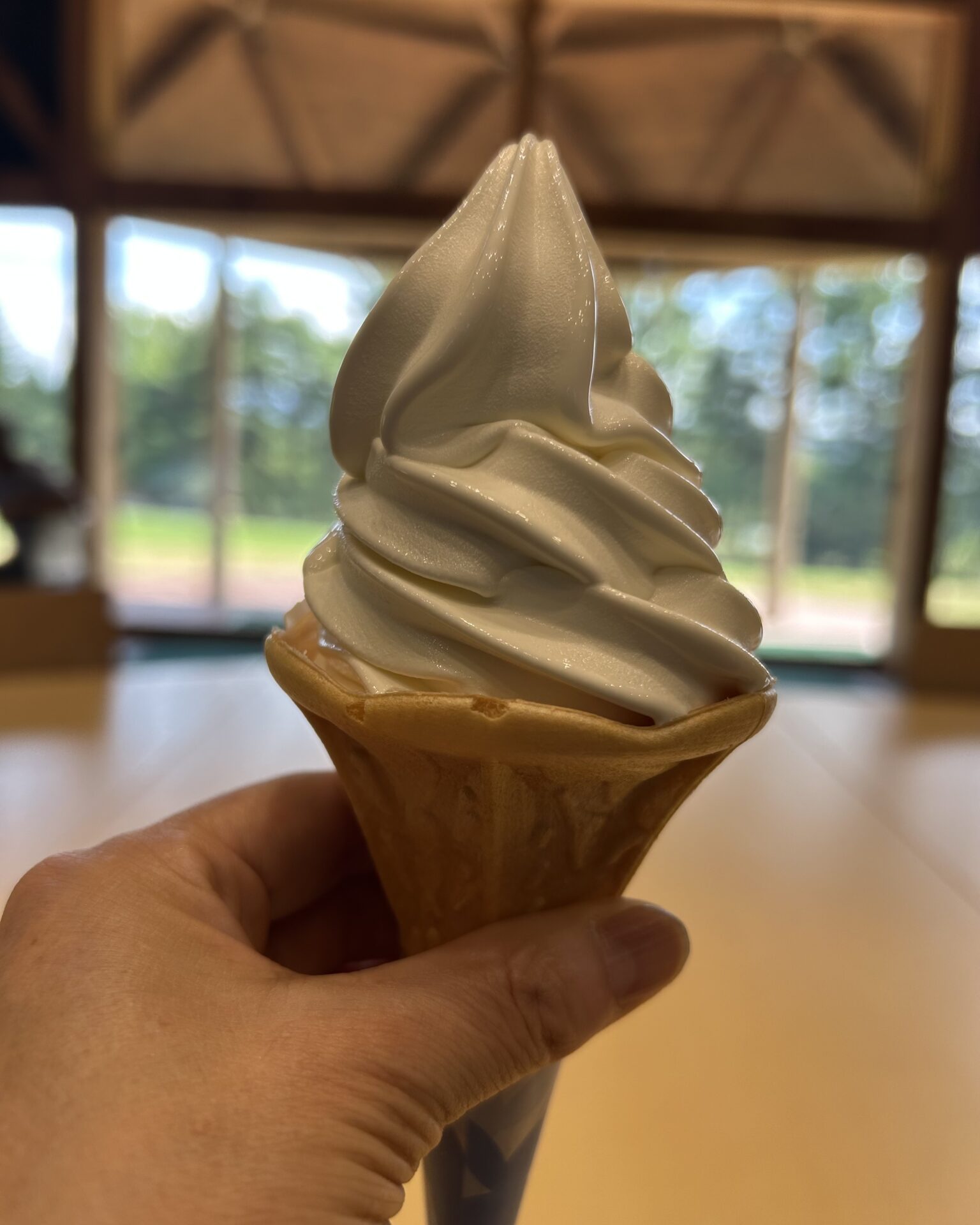 本日のおすすめ【鰯たたき・鰯軍艦】