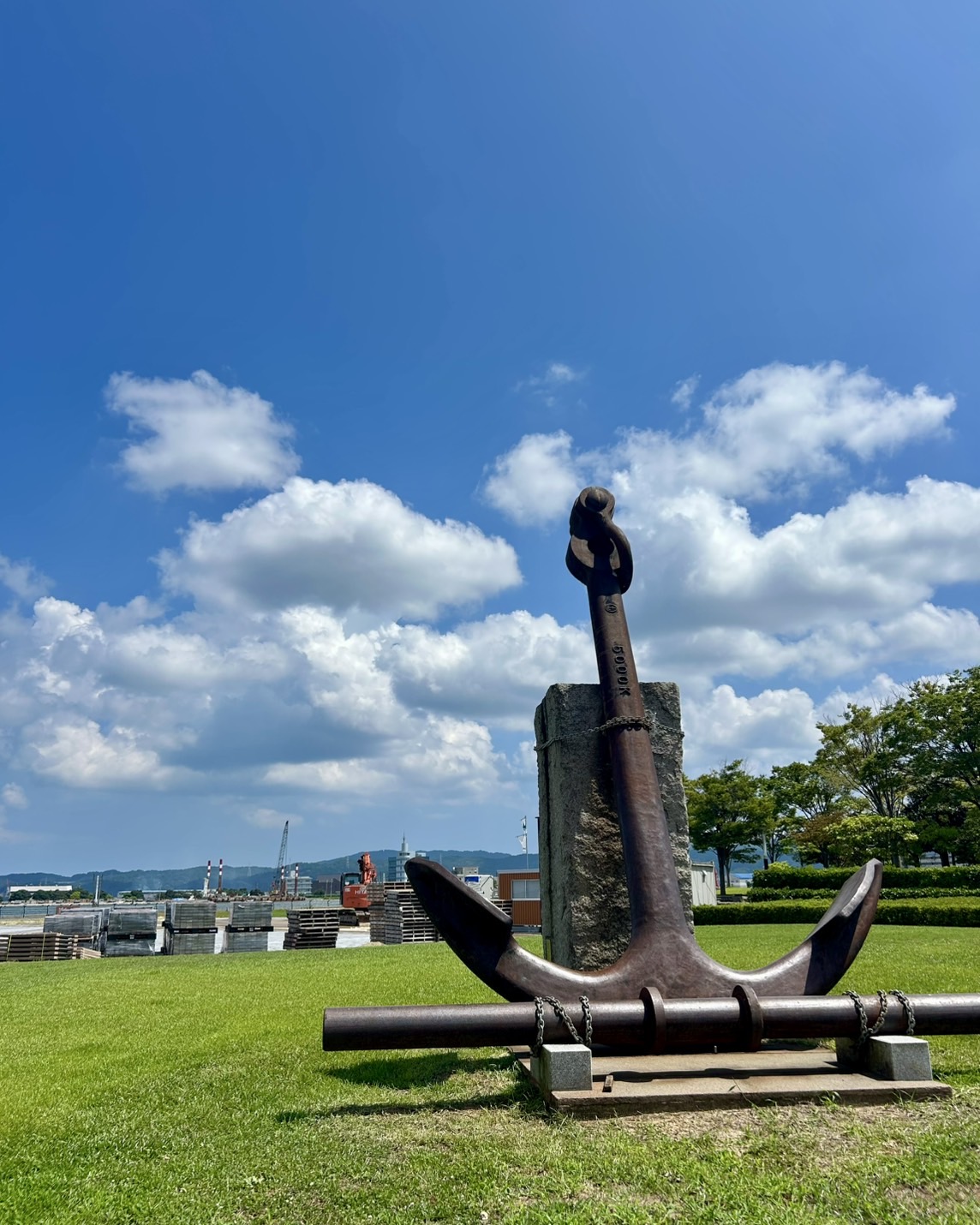 本日のおすすめ【鰯たたき・鰯軍艦】