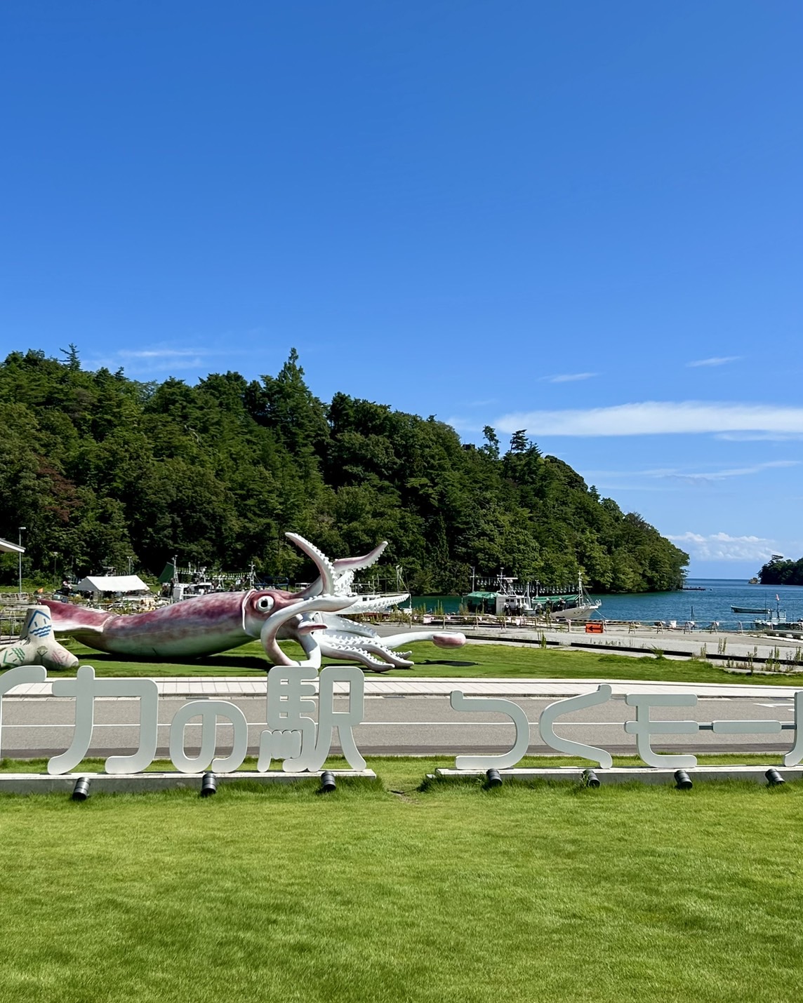 本日のおすすめ【鰯たたき・鰯軍艦】