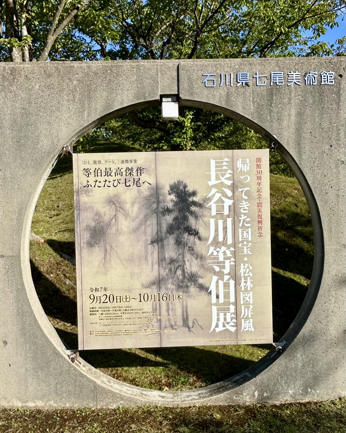 本日のおすすめ【鰯たたき・鰯軍艦】