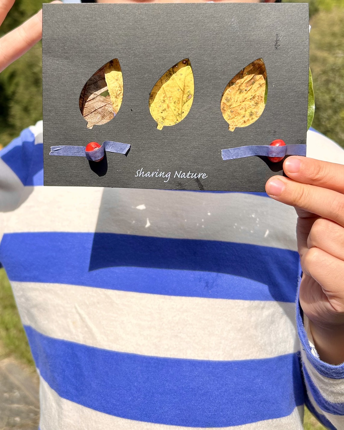 本日のおすすめ【鰯たたき・鰯軍艦】