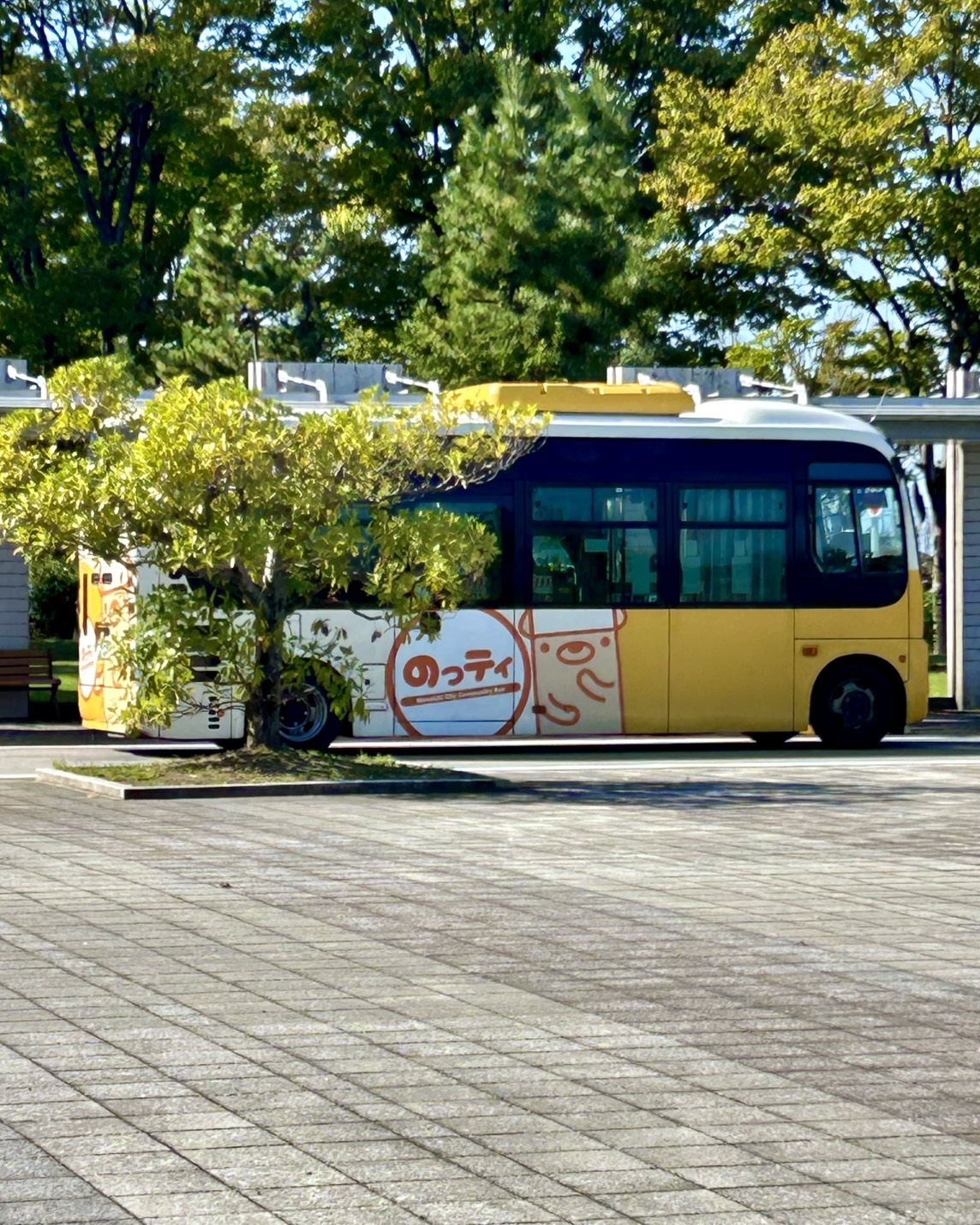 本日のおすすめ【鰯たたき・鰯軍艦・鰯組おでん】