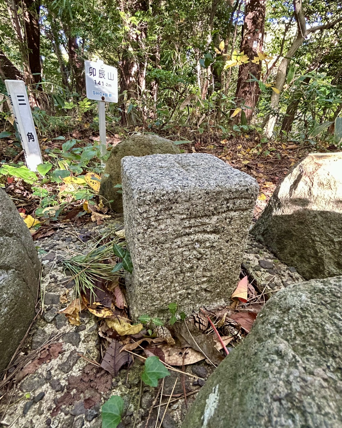 本日のおすすめ【鰯たたき・鰯軍艦・鰯組おでん】