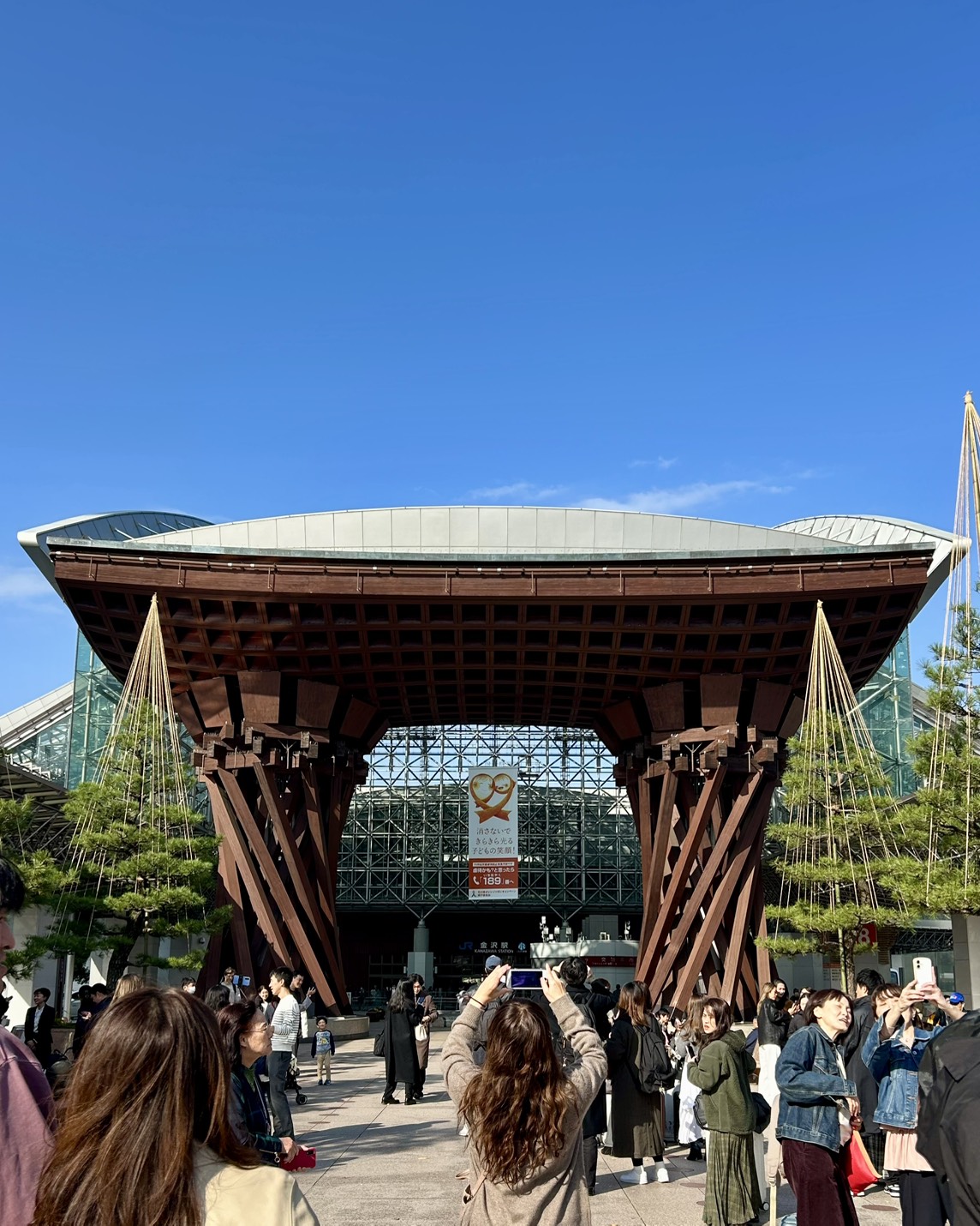 本日のおすすめ【鰯たたき・鰯軍艦・鰯組おでん】