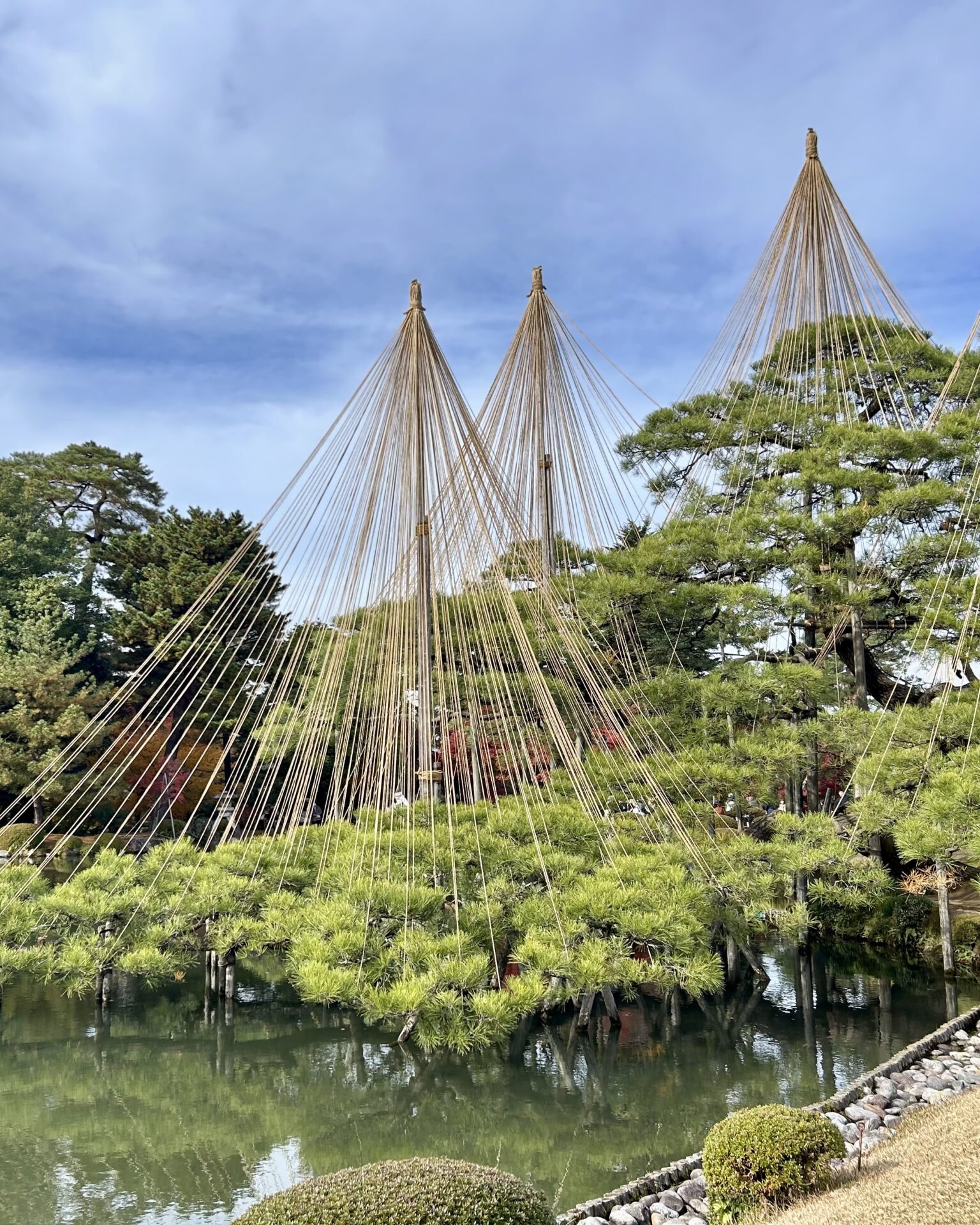 本日のおすすめ【鰯たたき・鰯軍艦・鰯塩焼】