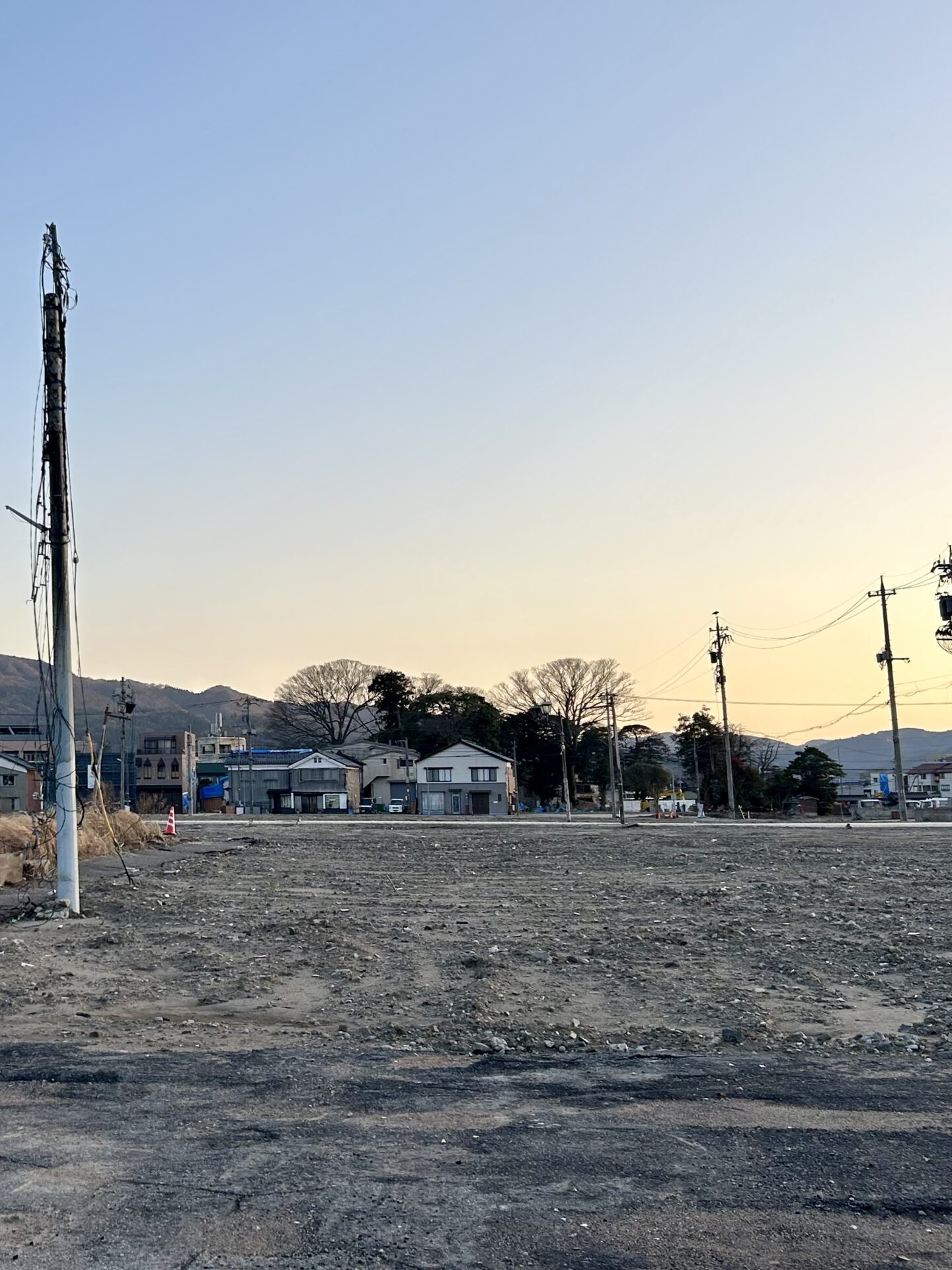本日のおすすめ【鰯たたき・鰯軍艦・鰯塩焼】