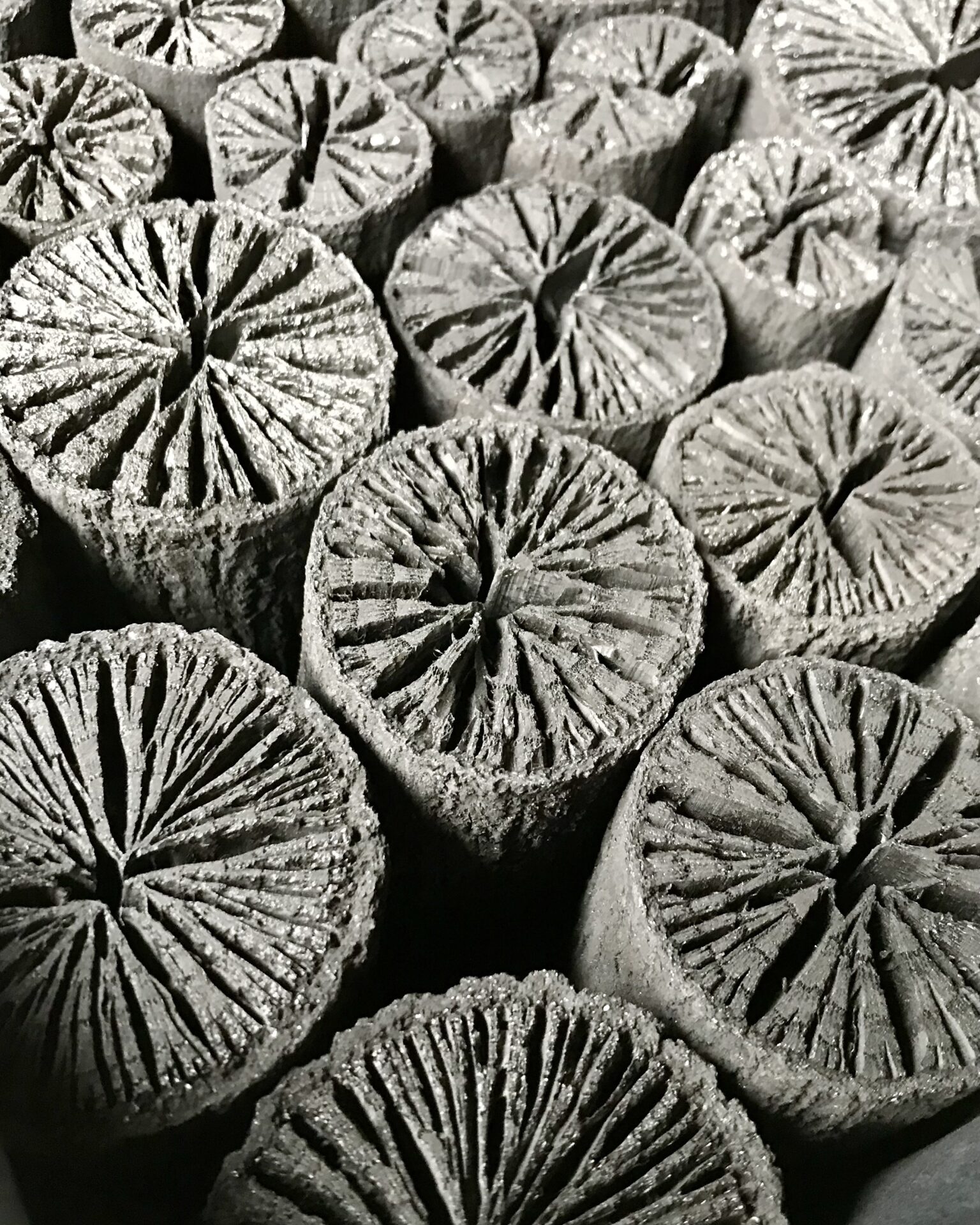 本日のおすすめ【鰯たたき・鰯軍艦・鰯塩焼】