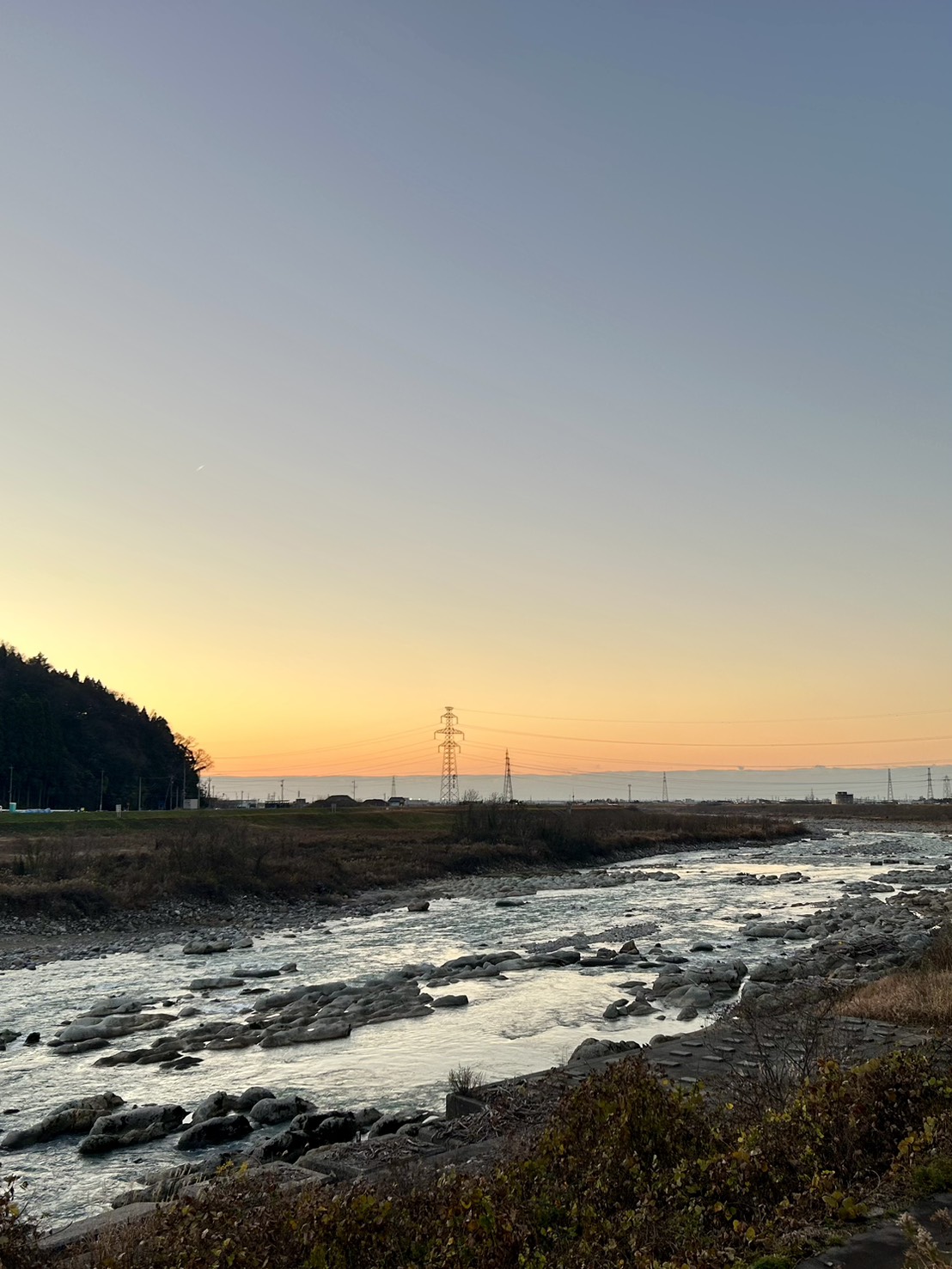本日のおすすめ【鰯たたき・鰯軍艦・鰯塩焼】