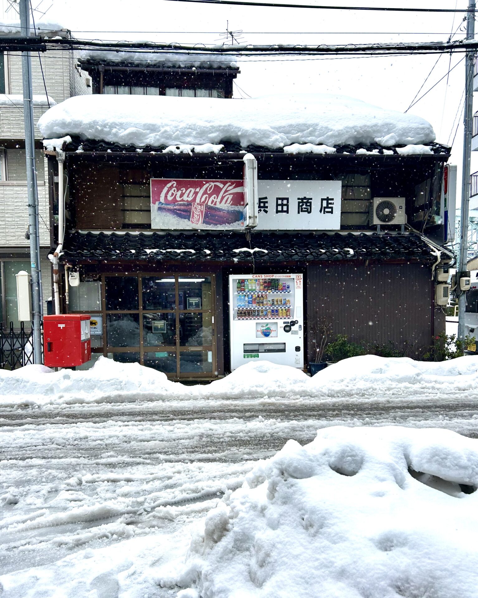 本日のおすすめ【鰯たたき・鰯軍艦・鰯塩焼】