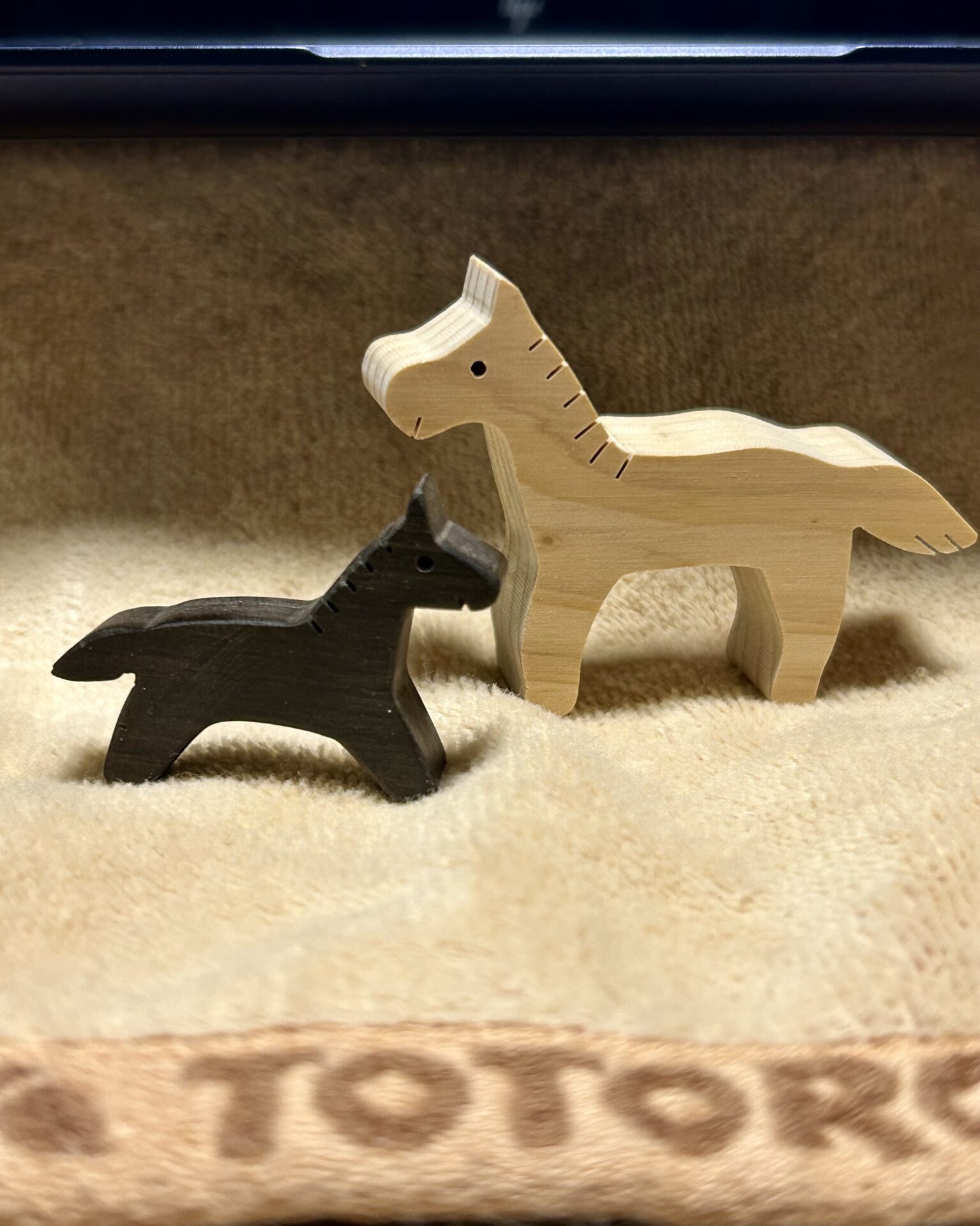 本日のおすすめ【鰯たたき・鰯軍艦・鰯塩焼】