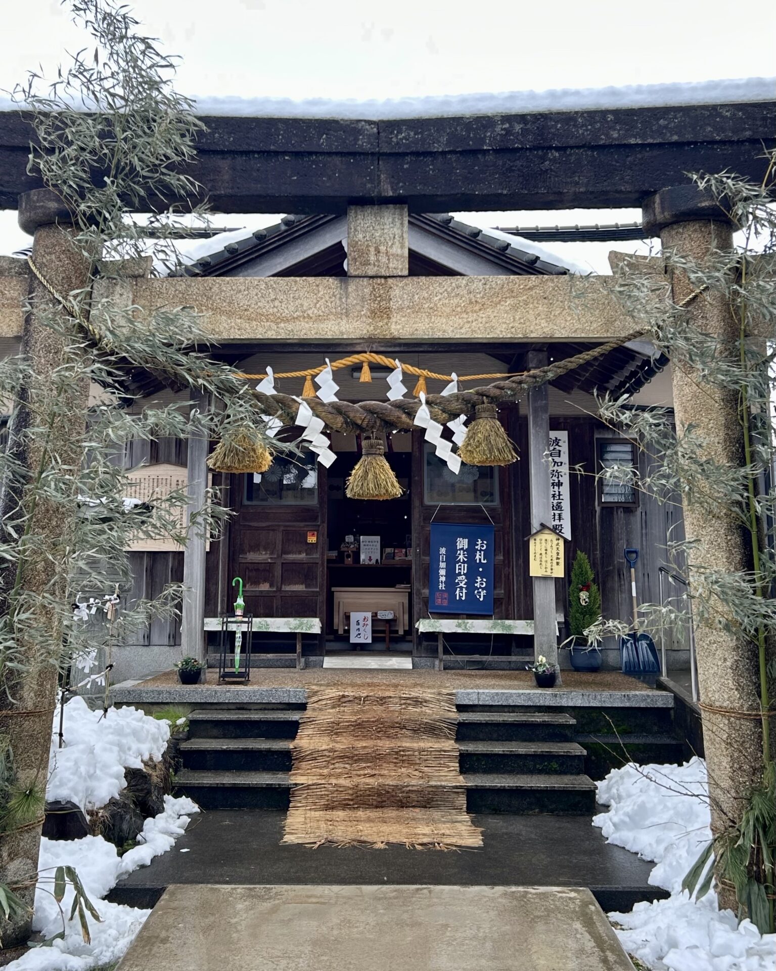 本日のおすすめ【鰯たたき・鰯軍艦・鰯塩焼】