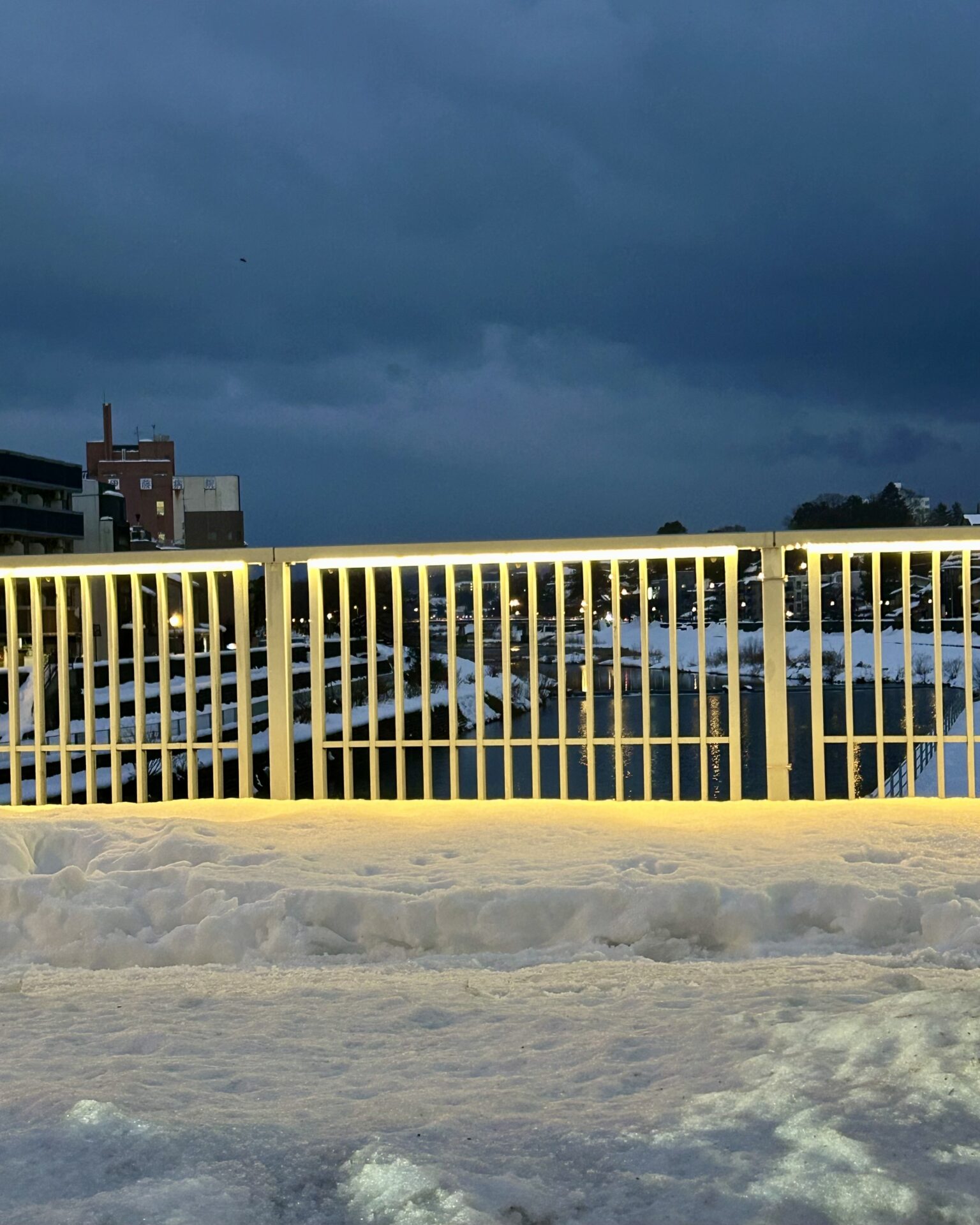 本日のおすすめ【鰯たたき・鰯軍艦】