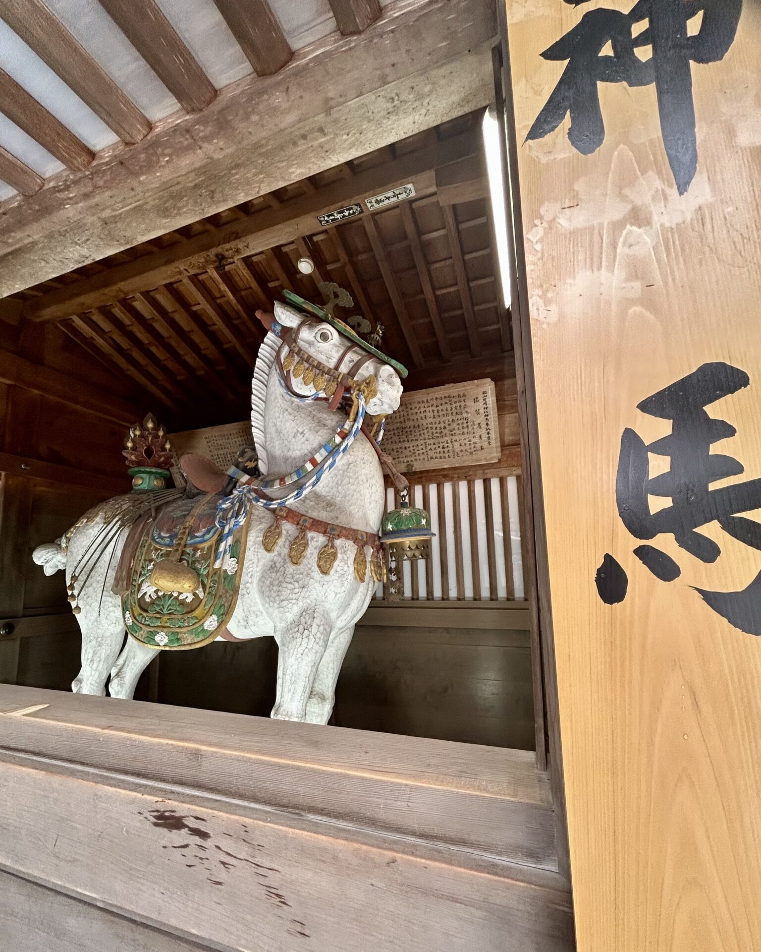 本日のおすすめ【鰯たたき・鰯軍艦・鰯塩焼】