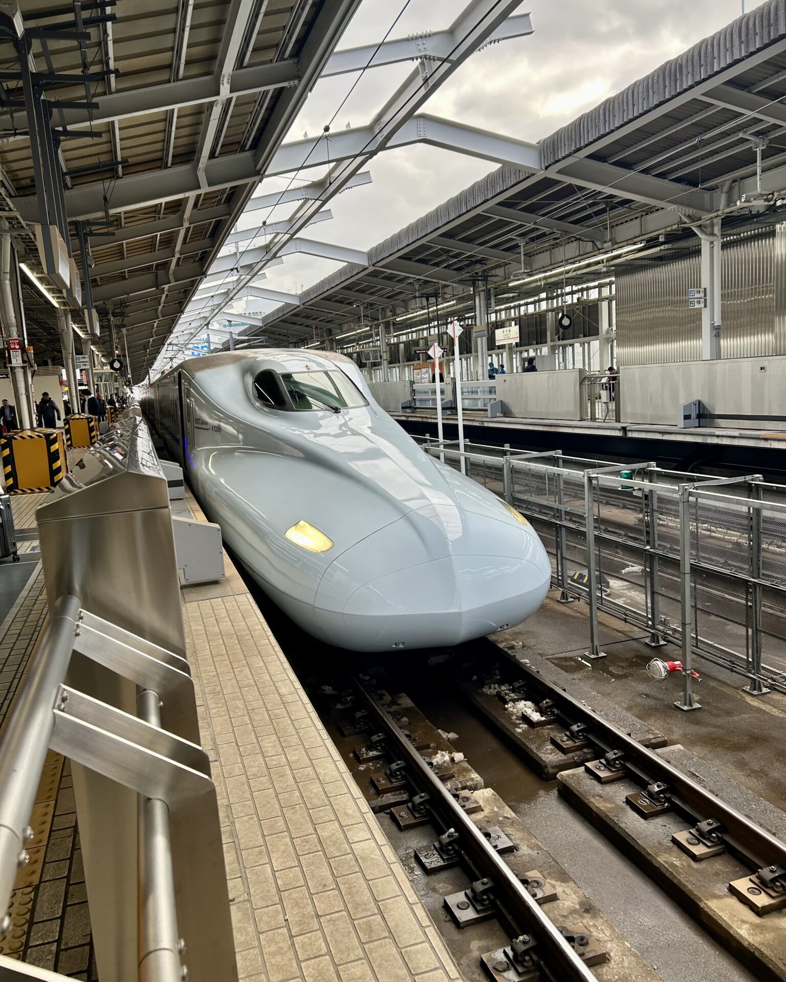 本日のおすすめ【鰯たたき・鰯軍艦・鰯塩焼】