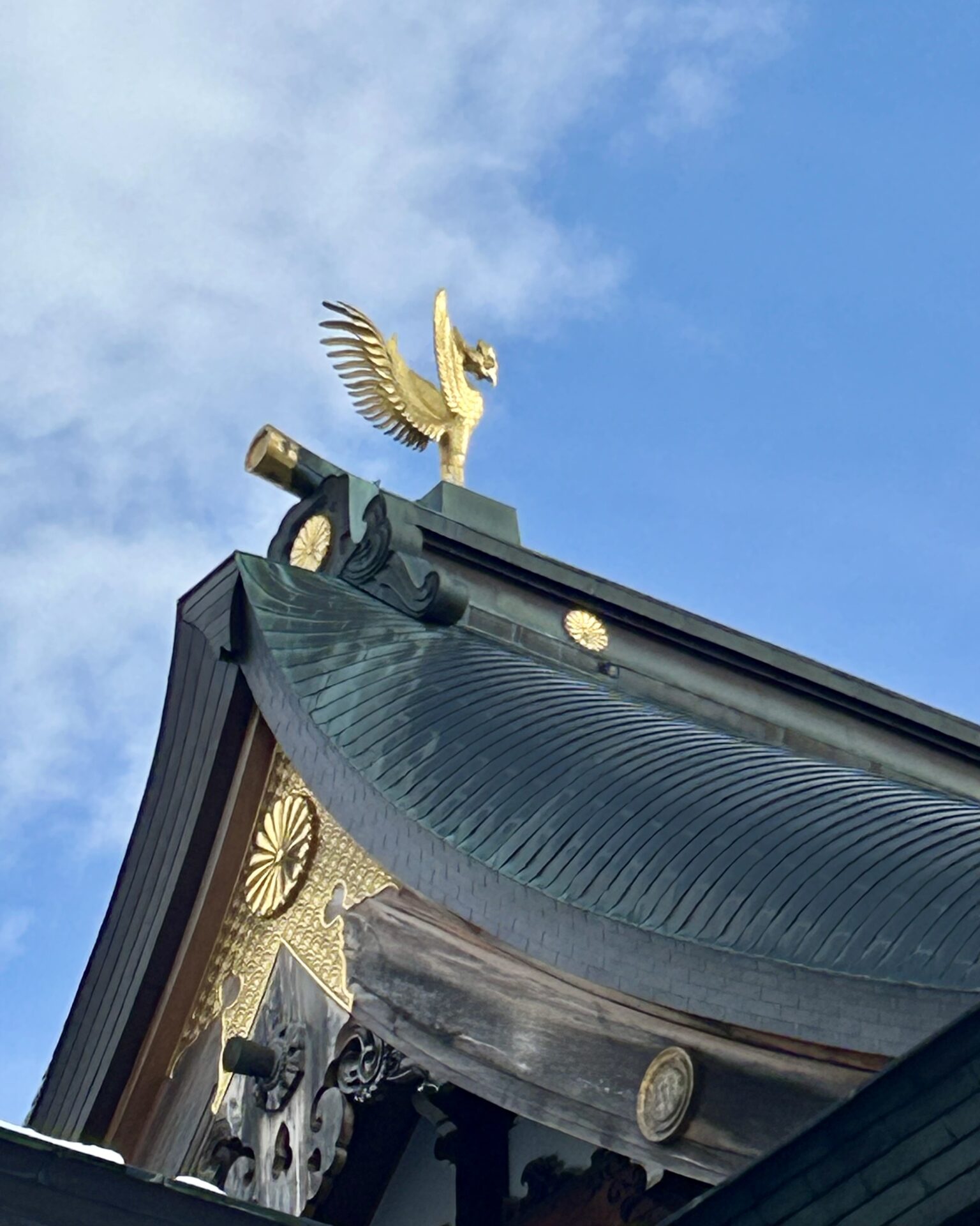 本日のおすすめ【鰯たたき・鰯軍艦・鰯塩焼】