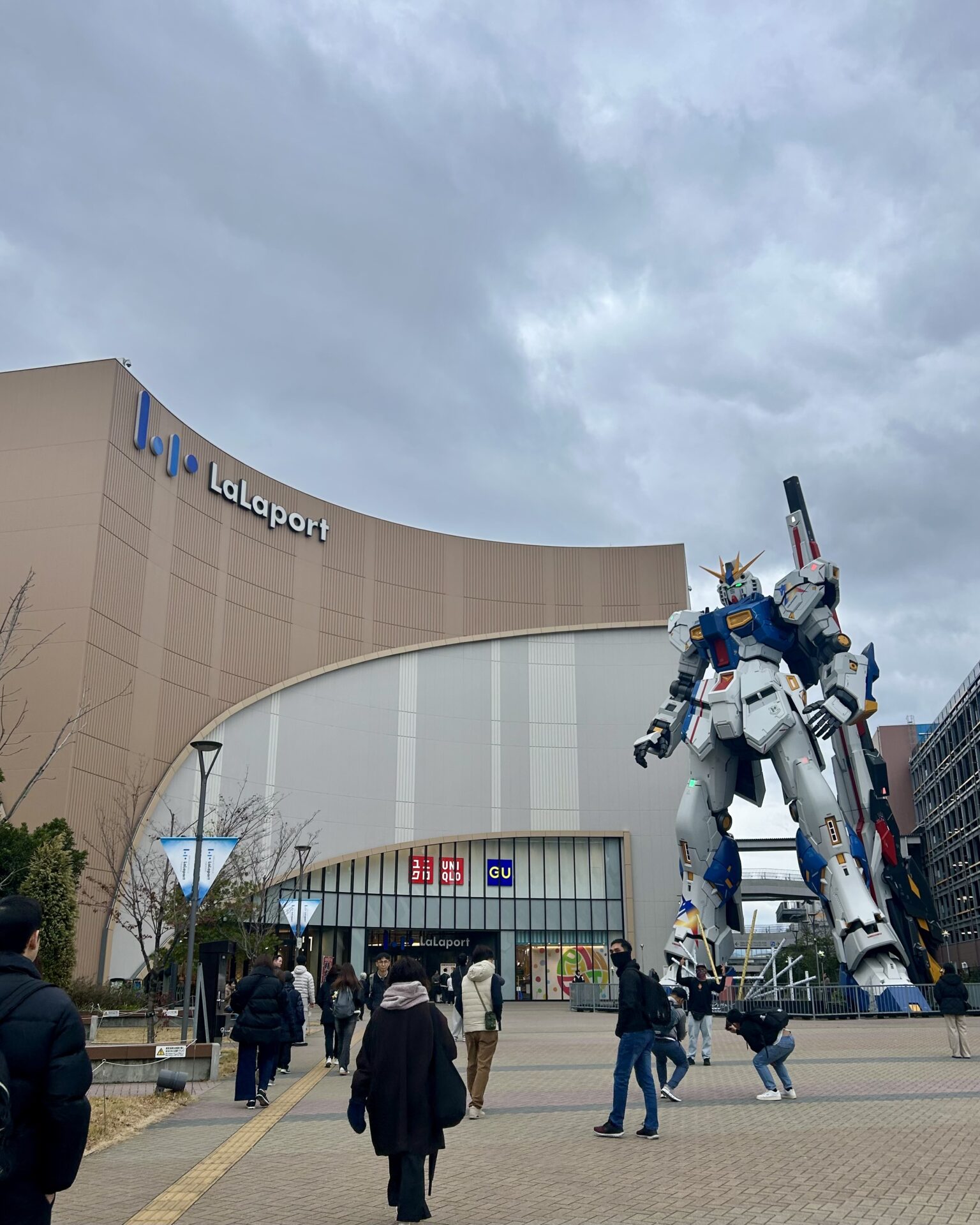 本日のおすすめ【鰯たたき・鰯軍艦・鰯塩焼】